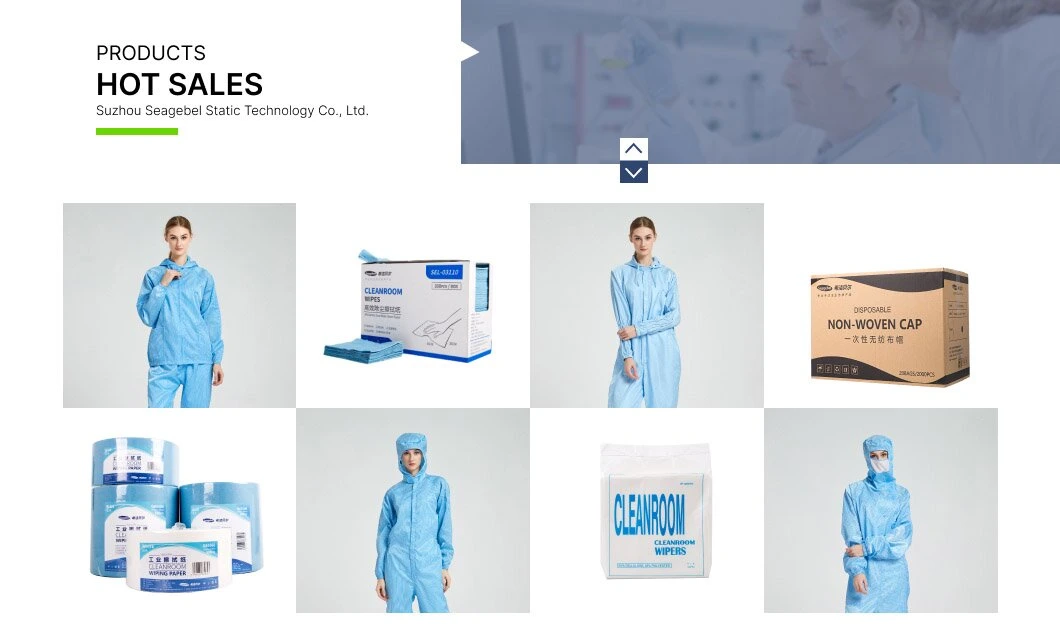 Cleanroom Polyester Paper Color: Blue/White