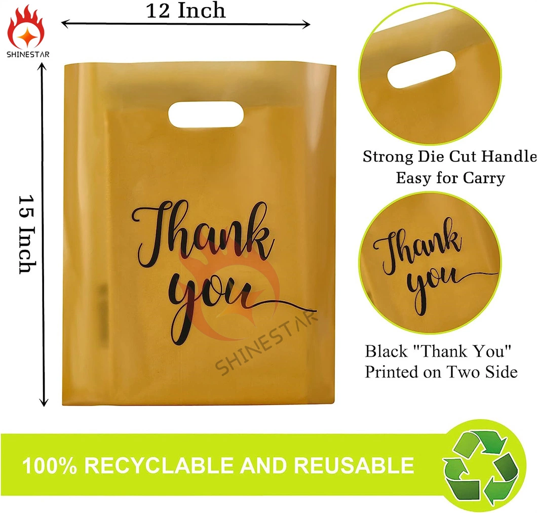 Small Plastic Merchandise Bag Plastic Shopping Bag with Handle for Business, Retail, Gift