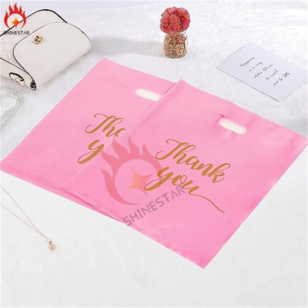 Small Plastic Merchandise Bag Plastic Shopping Bag with Handle for Business, Retail, Gift