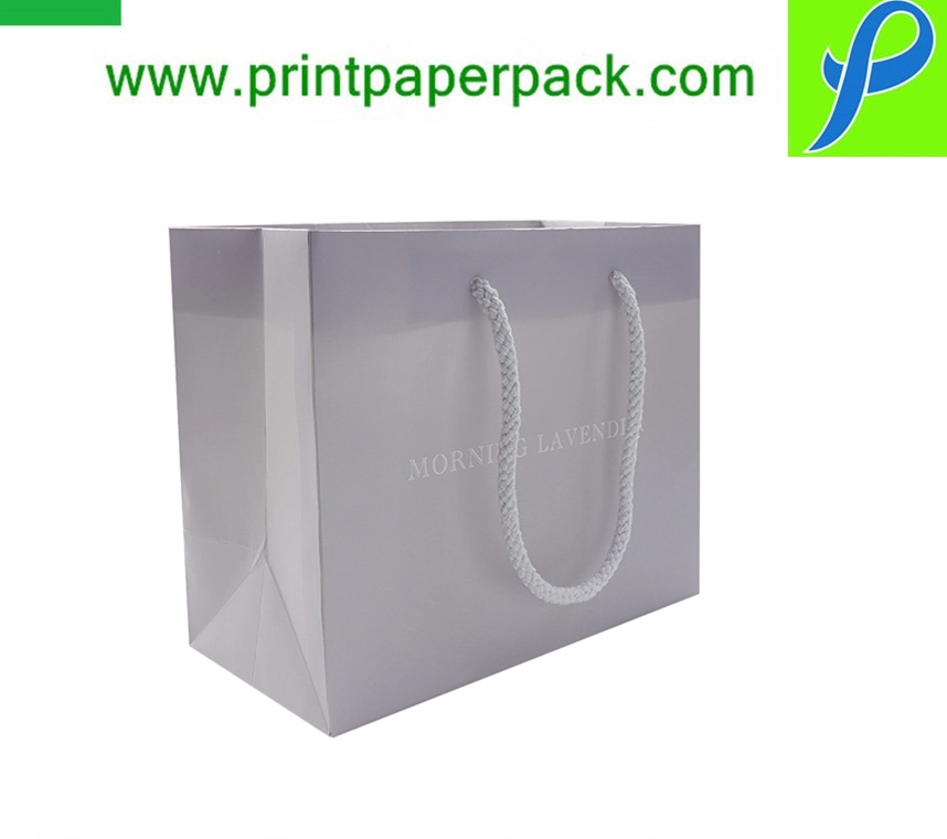 Luxury Branded Cardboard Paper Gift Bag with Grain and Rope Handle