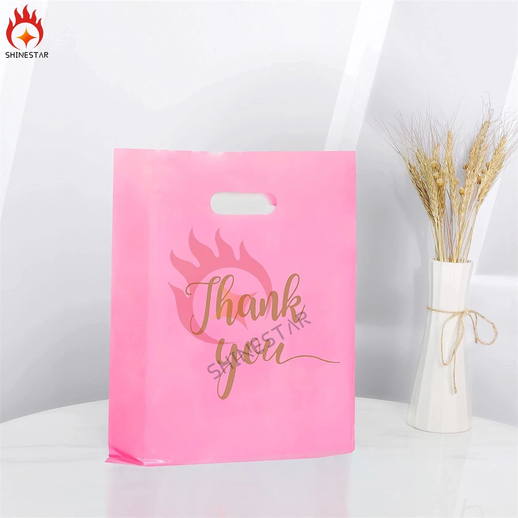 Small Plastic Merchandise Bag Plastic Shopping Bag with Handle for Business, Retail, Gift