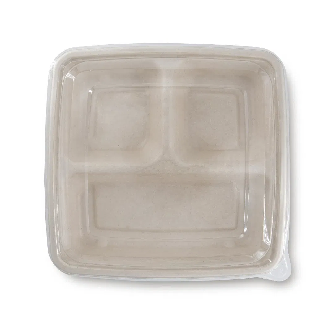 100% Biodegradable 10 Inch 3 Compartment Sugarcane Pulp Bagasse Plate