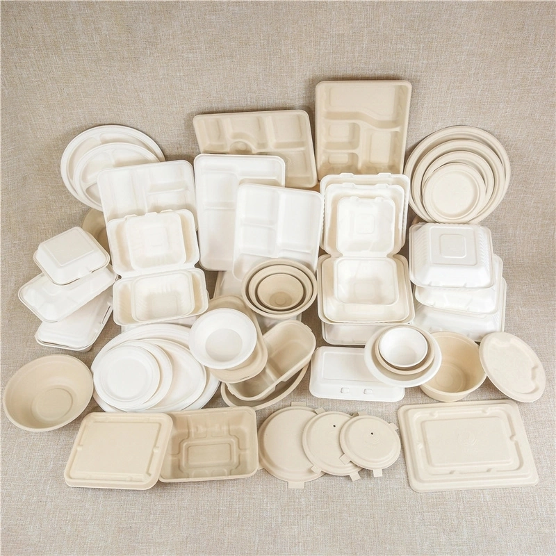 Biodegradable Disposable Takeaway Food Container Bagasse Paper Food Box Fruit and Vegetable Takeaway Container