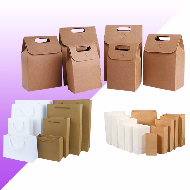 FSC Certificated China Factory Wholesale Luxury High Quality Custom PP Handle Paper Shopping Packaging Tote Gift Bags with Ribbon Closed Garment Bag