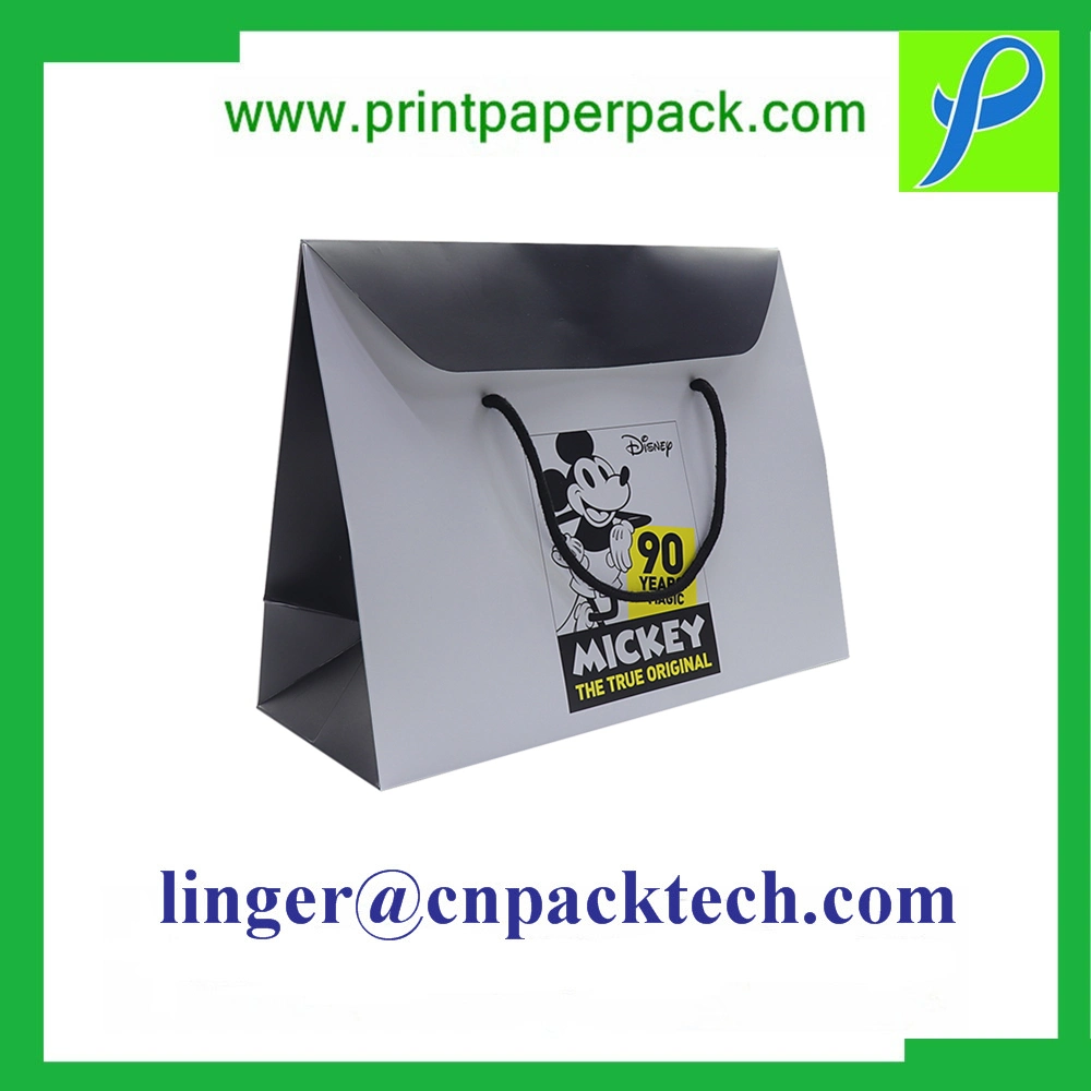 Luxury Branded Cardboard Paper Gift Bag with Grain and Rope Handle