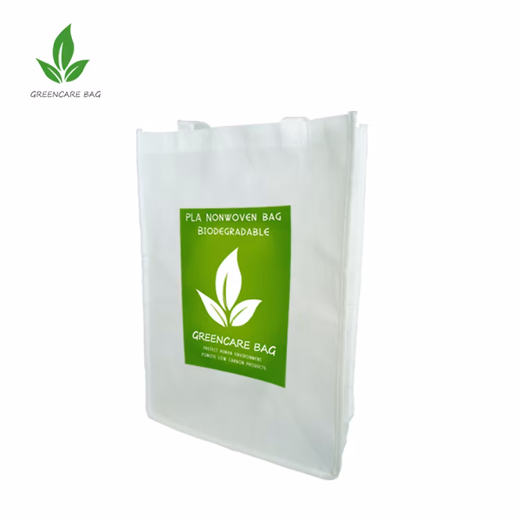 Customized Logo Print Eco-Friendly PLA Non-Woven Shopping Bag for Sale