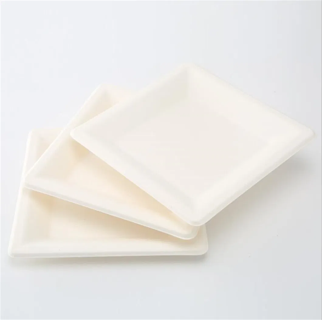 6inch Sugarcane Bagasse Disposable Hamburger Box