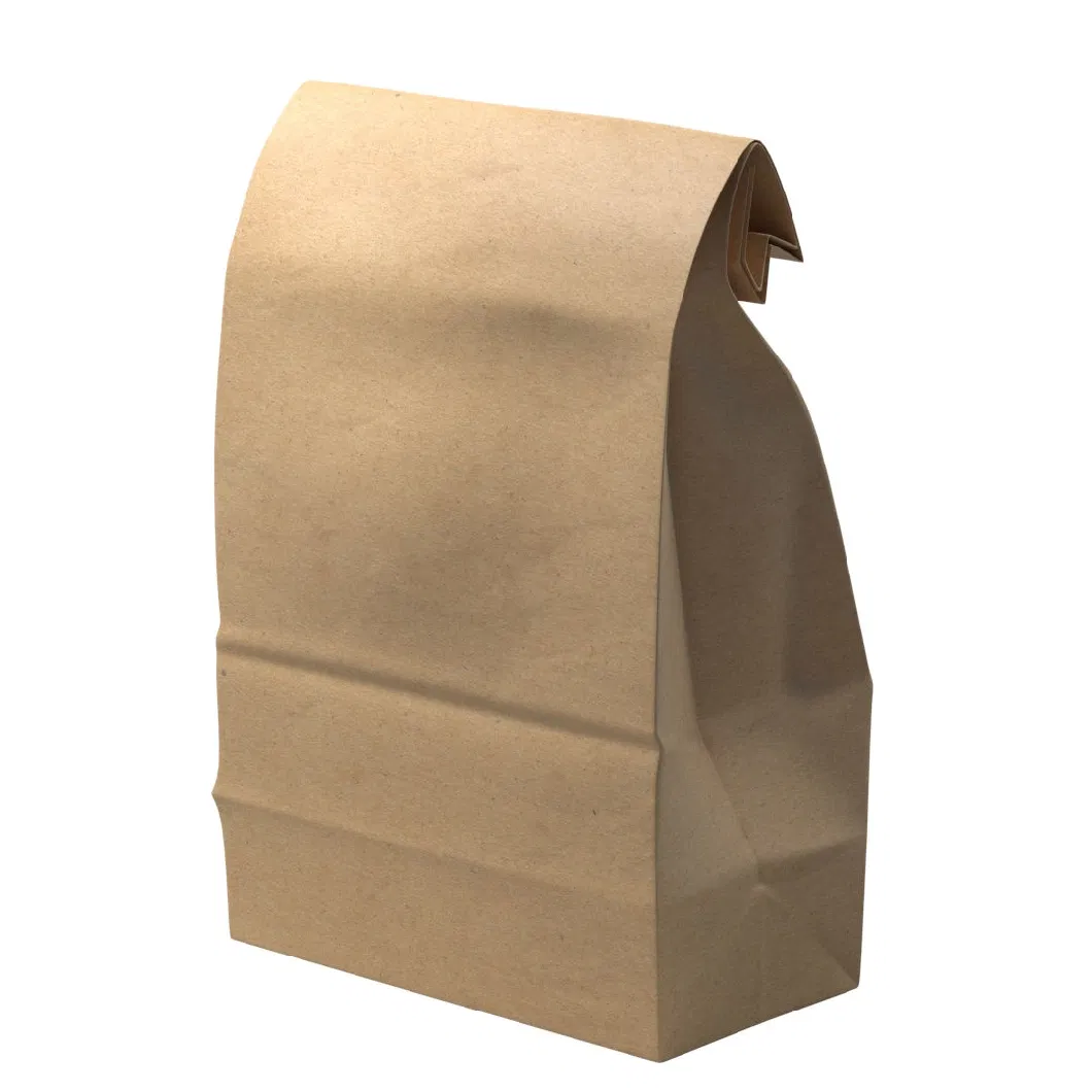 Wholesale Custom Size and Color Package Food Grade Take Away Resealable Brown Kraft Handle Paper Packaging Bags Popular Bread Cake Hamburger Hot Dog Bag