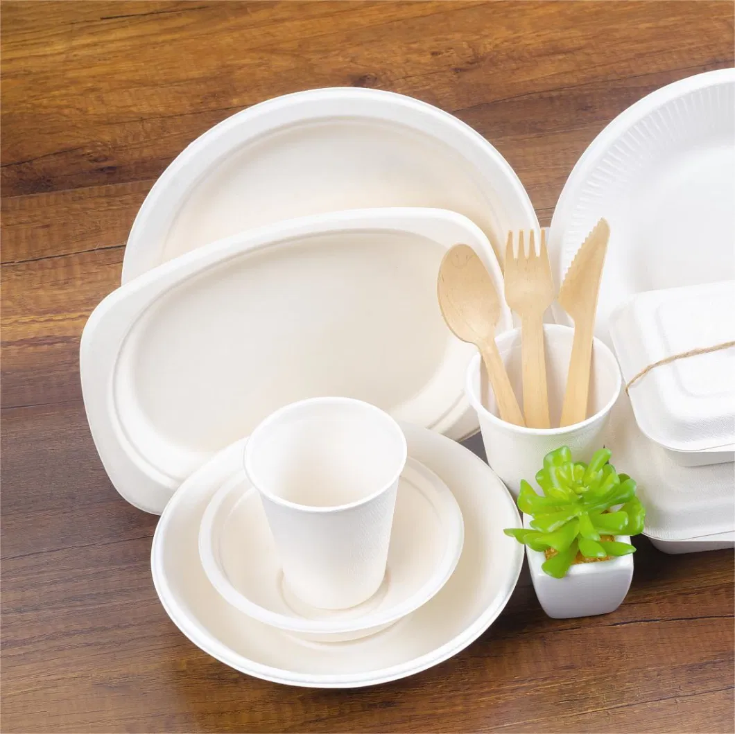 100% Biodegradable 10 Inch 3 Compartment Sugarcane Pulp Bagasse Plate