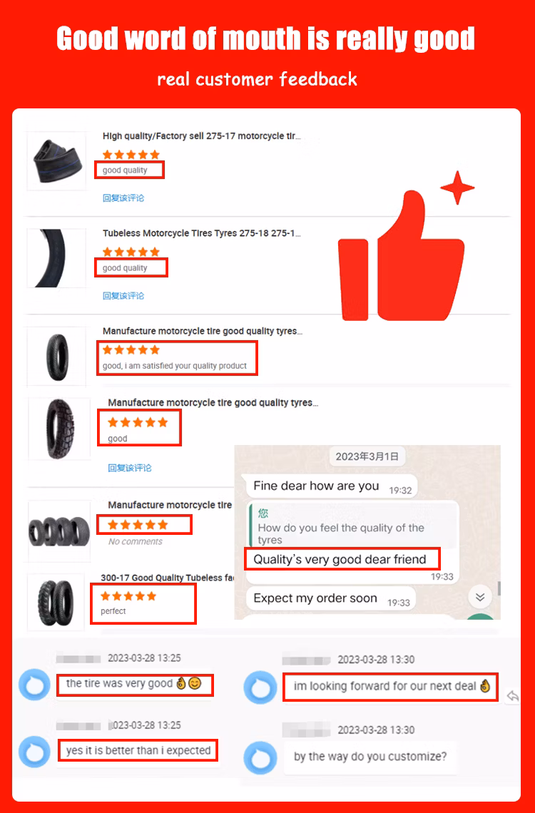 300-17 Good Quality Tt Factory in China Motorcycle Wheels/Motorcycycle Tyre