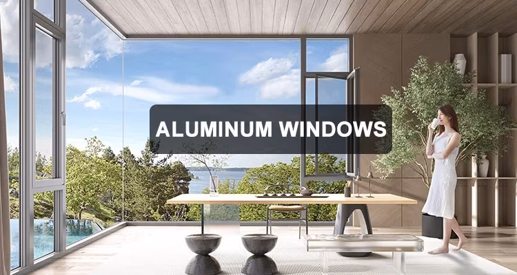 Glazing Windows System and Aluminum Window Fence System Mosquito Mesh Screen Thermal Insulation for Windows