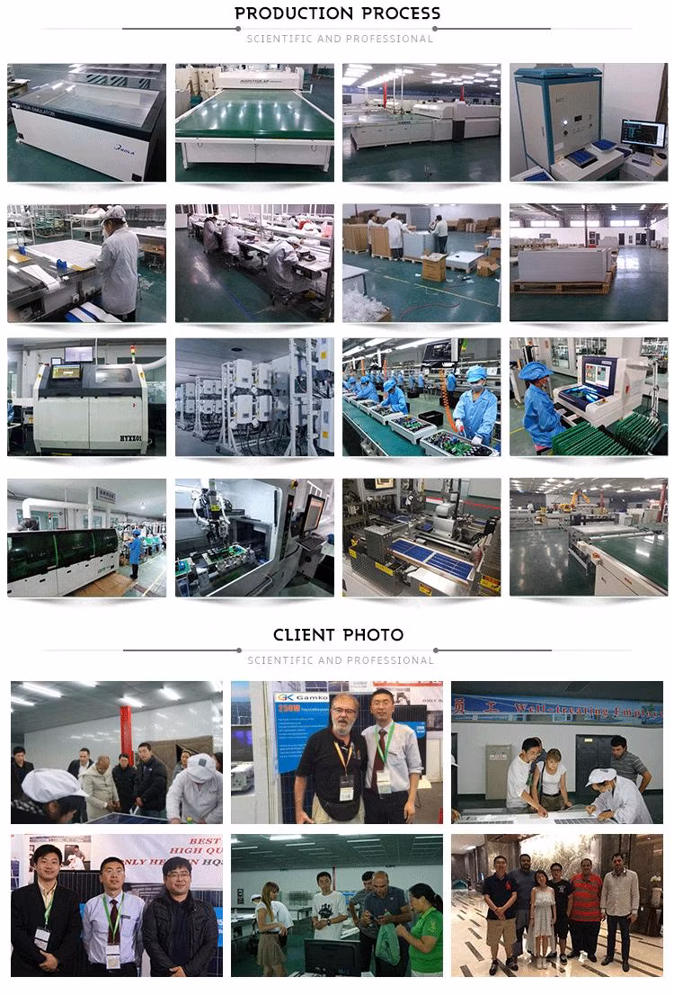 High Efficiency 170W Bifacial Solar Panel Dual Glass Transparent 200W 360W