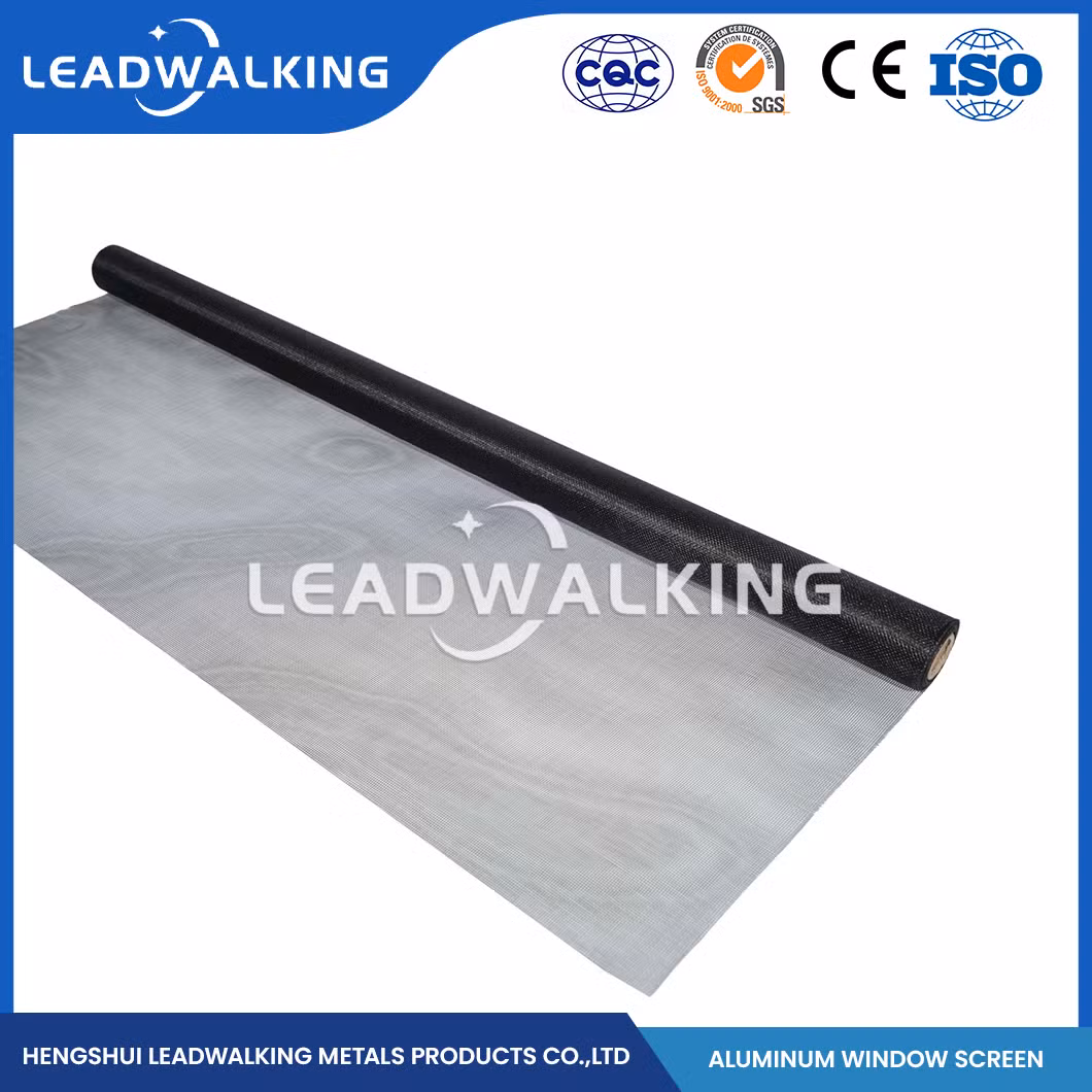Leadwalking Stainless Steel Window Screen Mesh Good Aesthetics Aluminum Mesh Window Screen Factory High-Quality China 302 304 Aluminum Alloy Window Screen