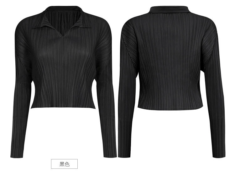 2024 Spring New Women&prime;s Design Sense Temperament Short Neckline Long Sleeve Shirt for Women