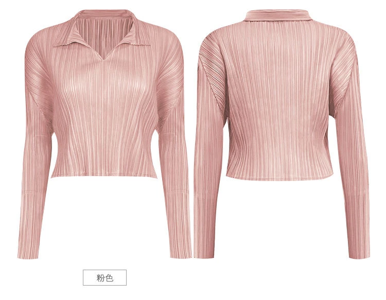 2024 Spring New Women&prime;s Design Sense Temperament Short Neckline Long Sleeve Shirt for Women