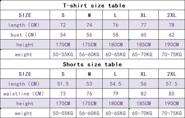 High Quality Summer Tracksuit Jogger Custom Logo Cotton Mens Shorts and T Shirt Sets Men 2 Piece T-Shirt Shorts Set for Men