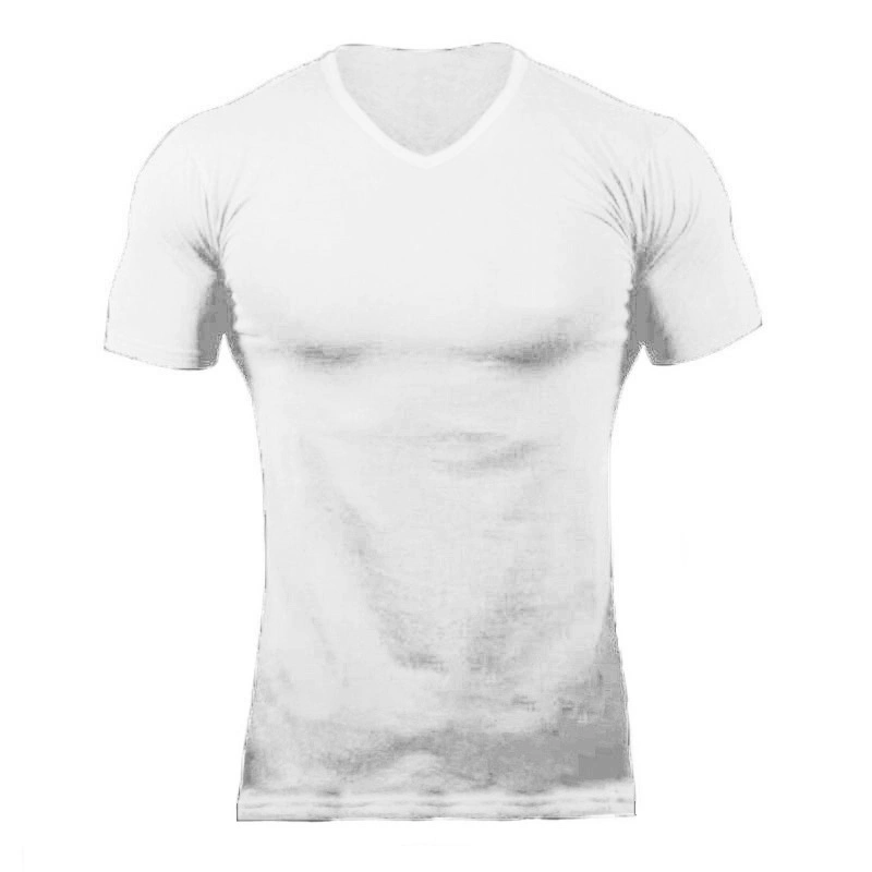 Custom Print Blank Plain V Neck Activewear Cotton Gym Sport T-Shirt for Men