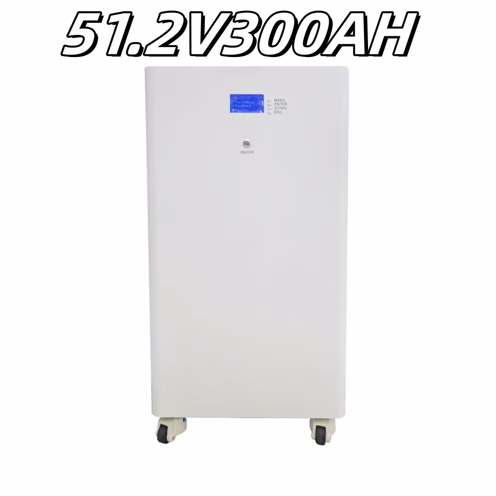 15kwh Lithium Ion Battery LiFePO4 Battery 51.2V 300ah 5kwh 10kwh 15kwh 20kwh 25kwh Solar Panel System Renewable Energy 48V 100ah 200ah 300ah 400ah 72V 36V