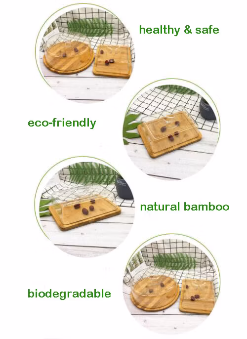 Natural Bamboo Cutting Board Square Round Logo Custom Cheese Board Rustic with Knives Set Picnic Cheese Boards