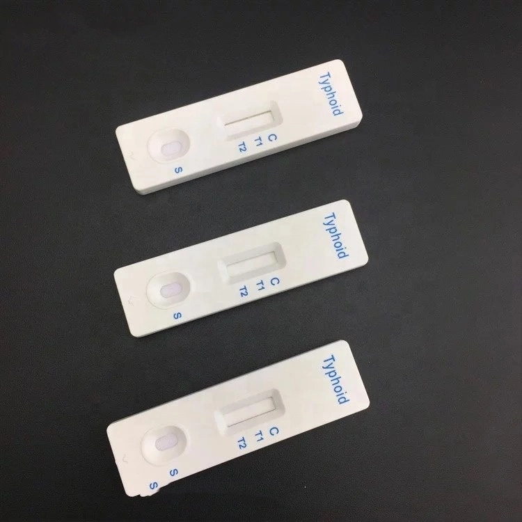 Medical Use Disease Rapid Test Kit S. Typhi Antigen Typhoid Rapid Test