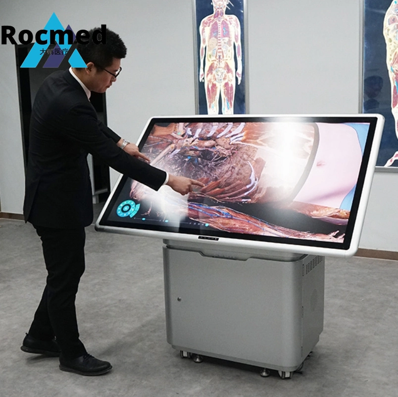 Digital Human Body Autopsy Virtual Touch Screen 3D Anatomy Education Virtual Anatomy Dissection Table for School Teaching