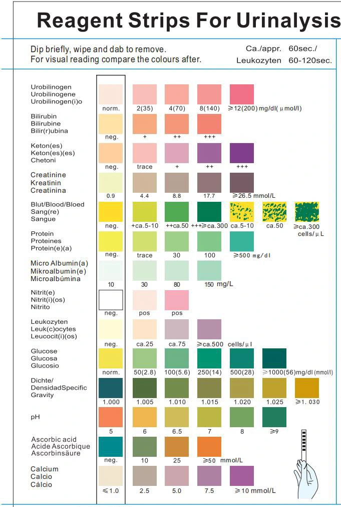 Clinical-Grade 5 Parameter Urine Home Test Strip