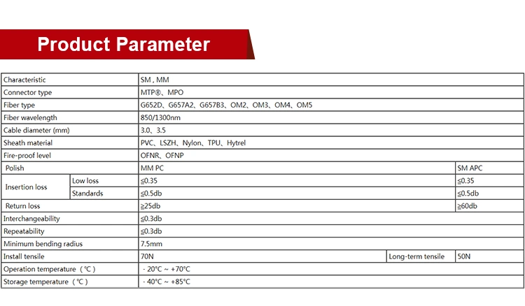 MTP 8/12/24/48/72/144 Fibers Om4/Om3/Om5 Fiber Optic Patch Cord