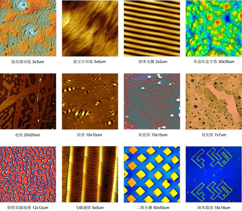 12&quot; Wafer Industry Atomic Microscope Afm