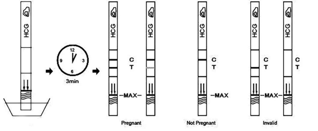 CE ISO FDA Approved Convenient Use Medical Diagnostic Test Kit Negative Early Pregnancy Test Device