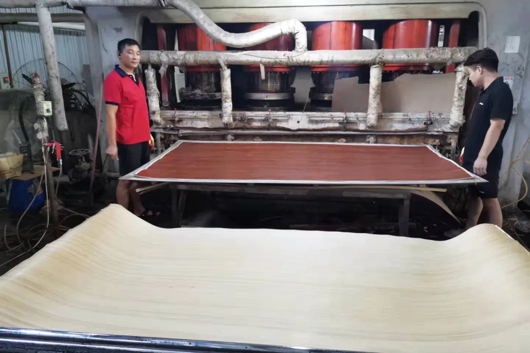 Dr-T068z Montbel-Walnut Laminated Veneer Paper for Synchronized Melamine Board