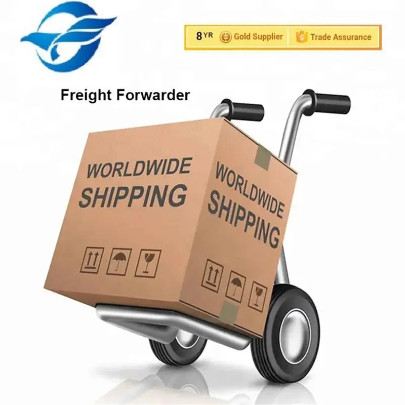 International Air Freight Forwarder Logistics Agent Shipping to America