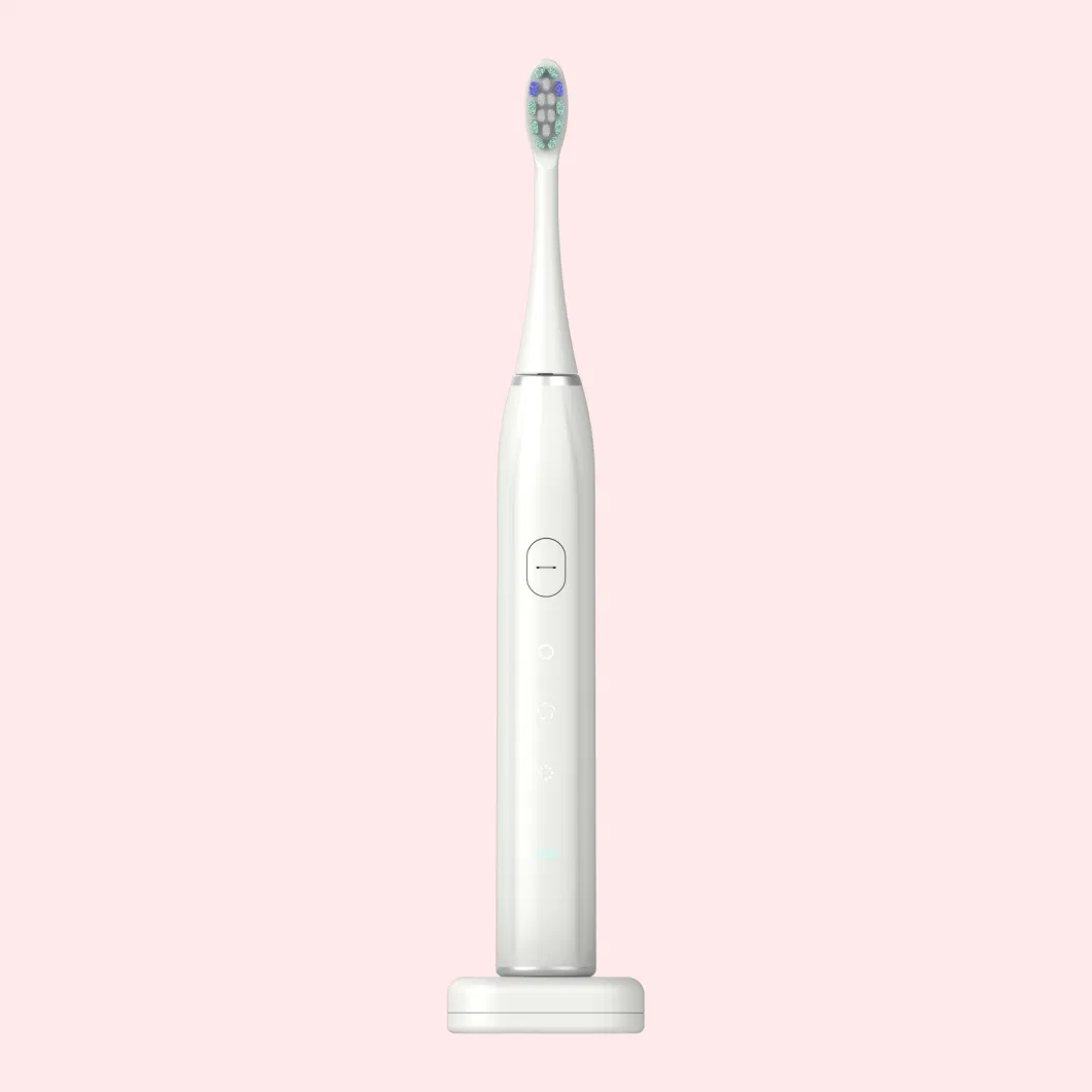 Hot Sale Rechargeable Travel Oral Cleaning Electric Toothbrush with Replaceable Head