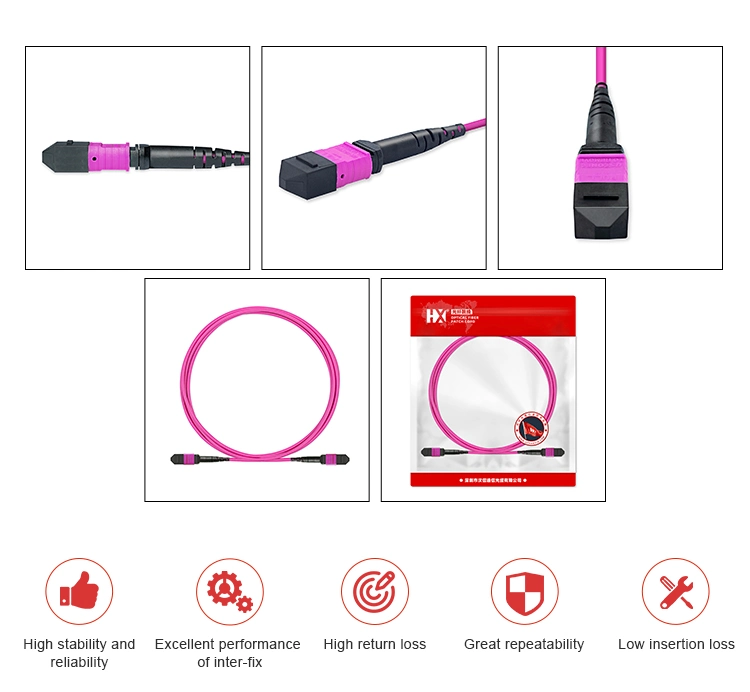 MTP 8/12/24/48/72/144 Fibers Om4/Om3/Om5 Fiber Optic Patch Cord