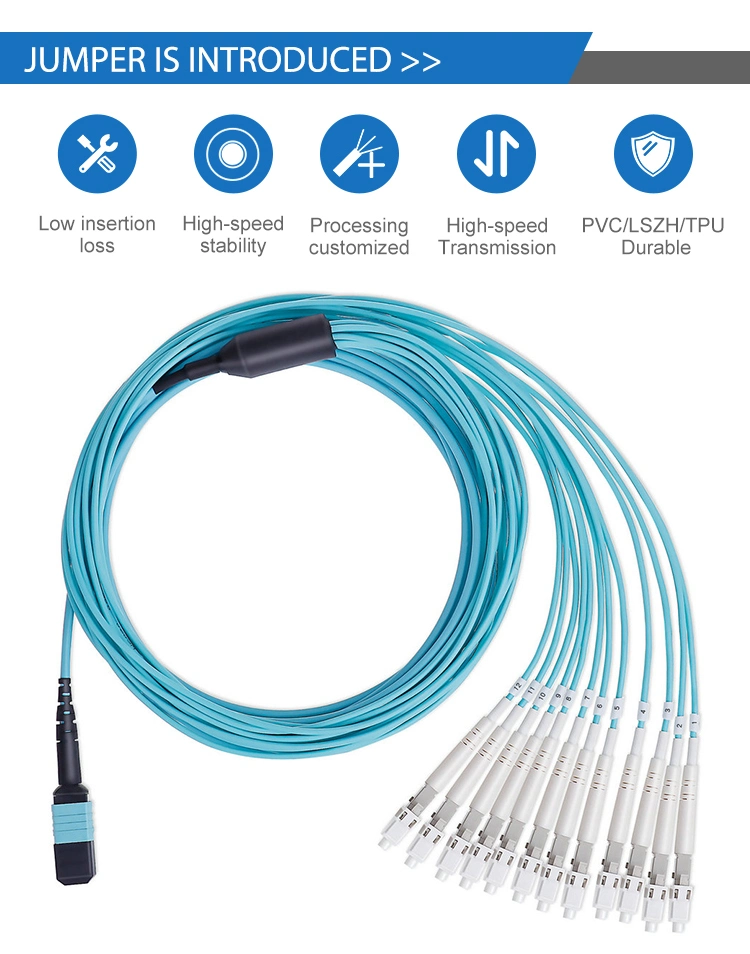 LC LC 12 Fibre MTP-MTP Fibre Optic Cables Network Cable Patch Cord