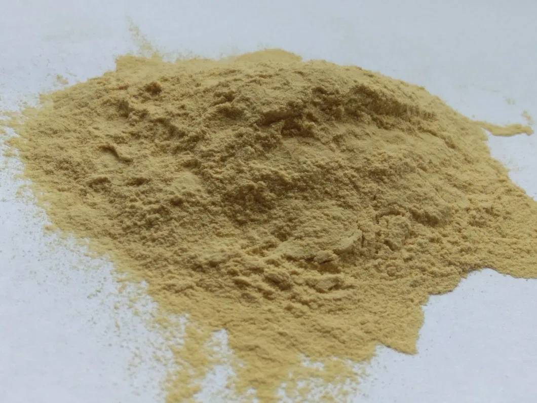 Health Powder CAS 63231-63-0 Yeast Extract Ribonucleic Acid Powder