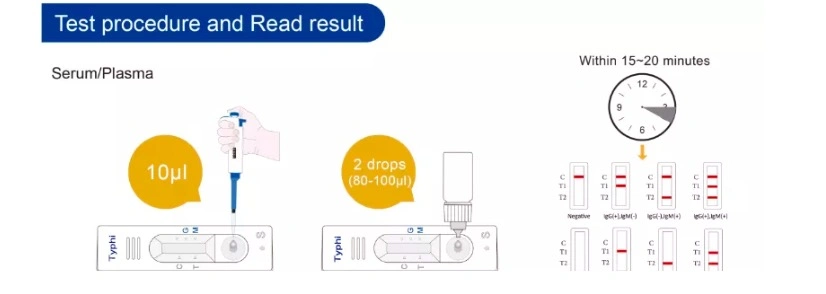 Accurate Hot Sale Typhoid Igg Igmtest Cassette Antigen Typhoid Test Kit for Hospital