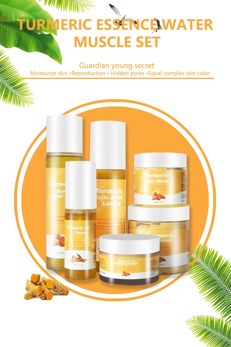 Beauty Cosmetics Skin Care Moisturizing Anti-Wrinkle Vitamin C Turmeric Skin Care Set