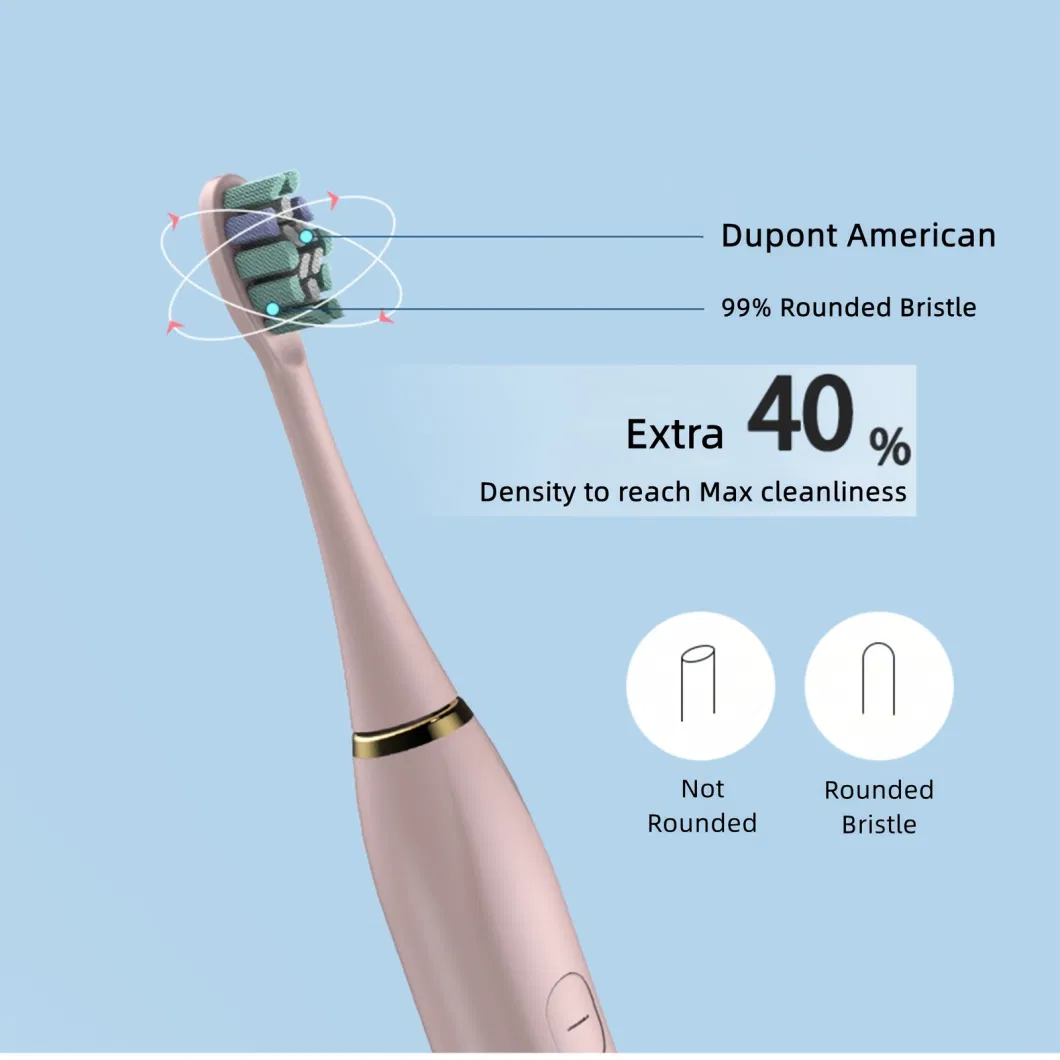 Hot Sale Rechargeable Travel Oral Cleaning Electric Toothbrush with Replaceable Head