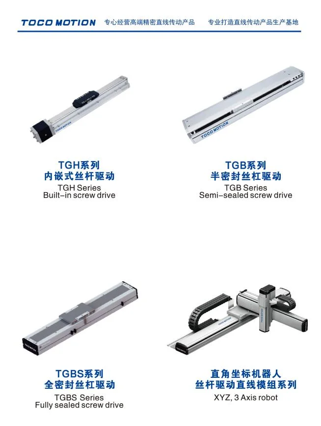 Linear Motion Stroke Gantry Robot Linear Modules