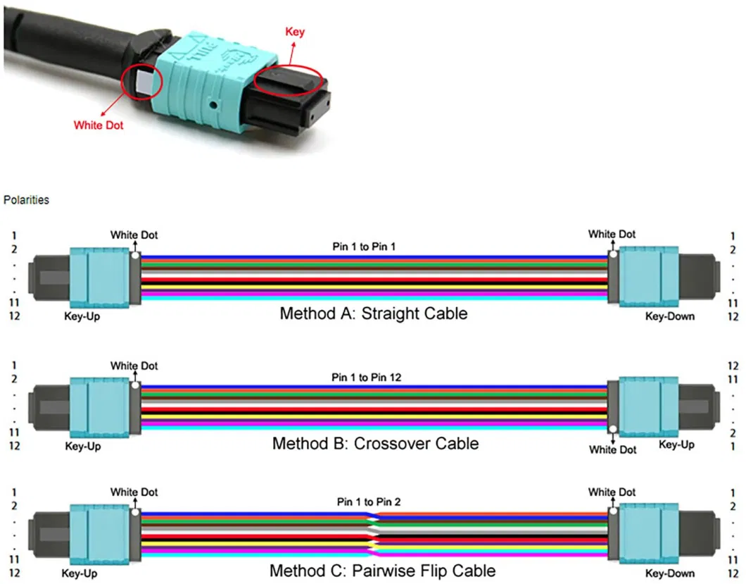 12f 40-100g Sm/Om3/Om4 2m-50m FTTH MTP/MPO Breakout Fanout Jumper Cable Duplex MPO-LC Fiber Optic Patch Cord