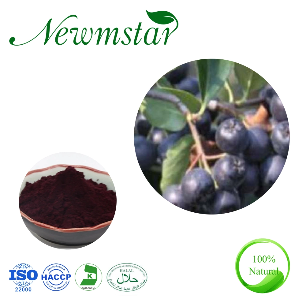 Aronia Extract Aronia Melanocarpa Powder Extract Wild Cherry Berry Extract