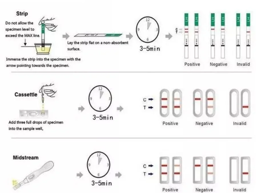 Fsh Menopause Diagnostic Medical Testing