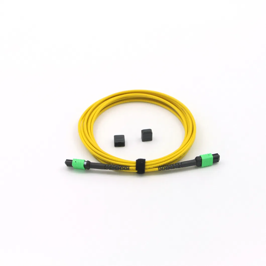 Fiber Optic Patch Cord Cable MPO/MTP