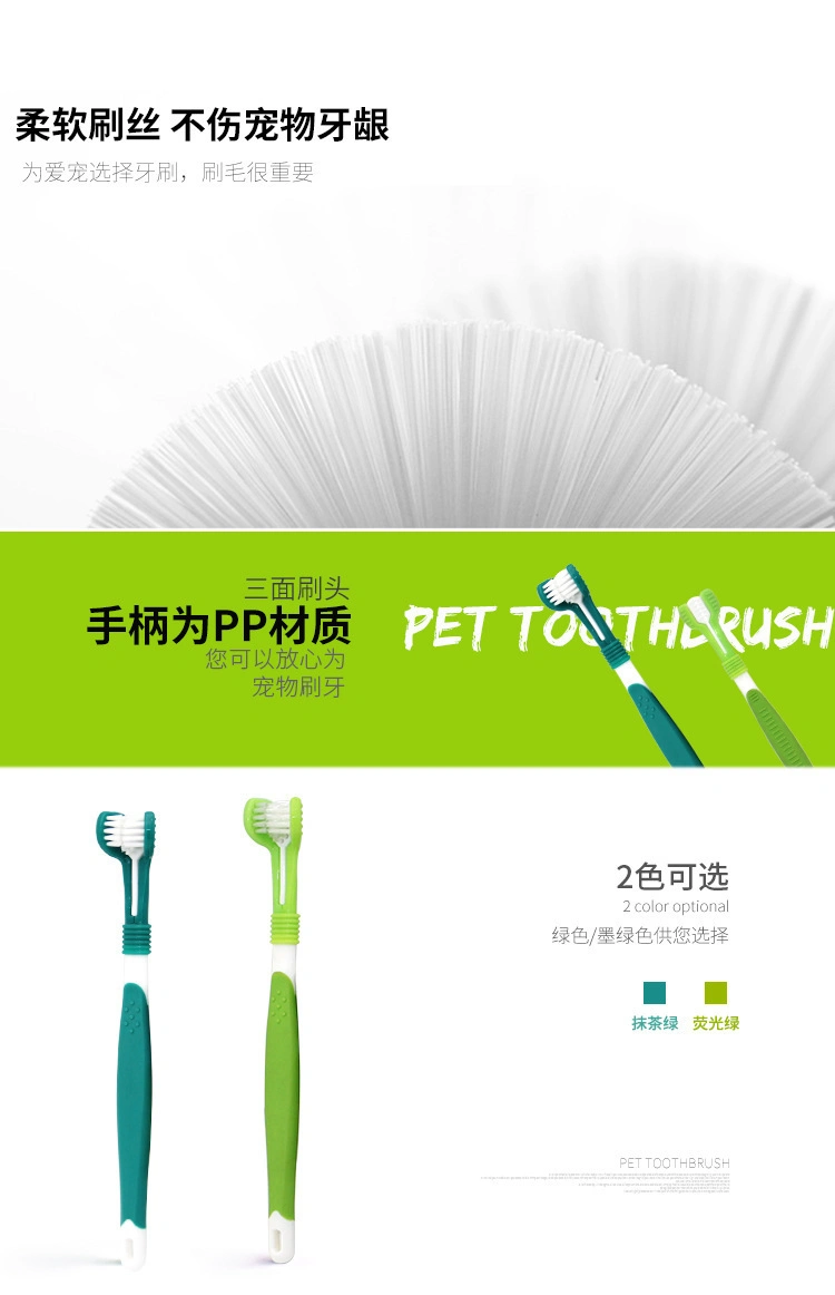 Pet Oral Cleaning and Care Products Plastic Cat Medium-Sized Dog Three-Head Toothbrush