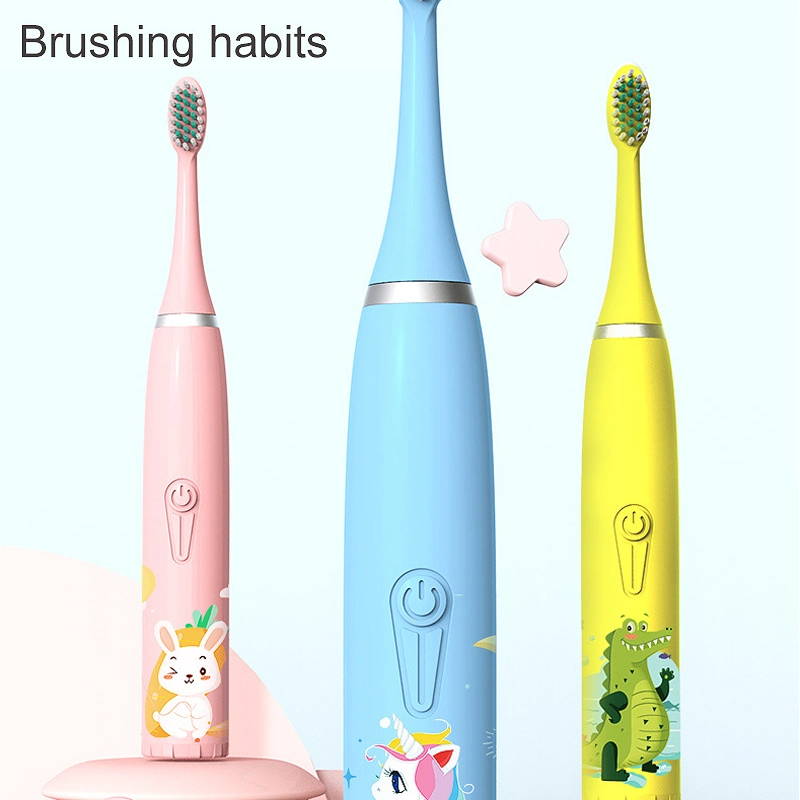 Hot Selling Sonic Electric USB Rechargeable Washable Toothbrush 6-Speed