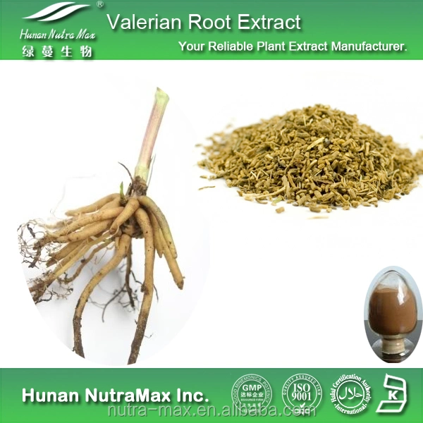 Factory Supply Valerian Root Extract for Daily Supplements