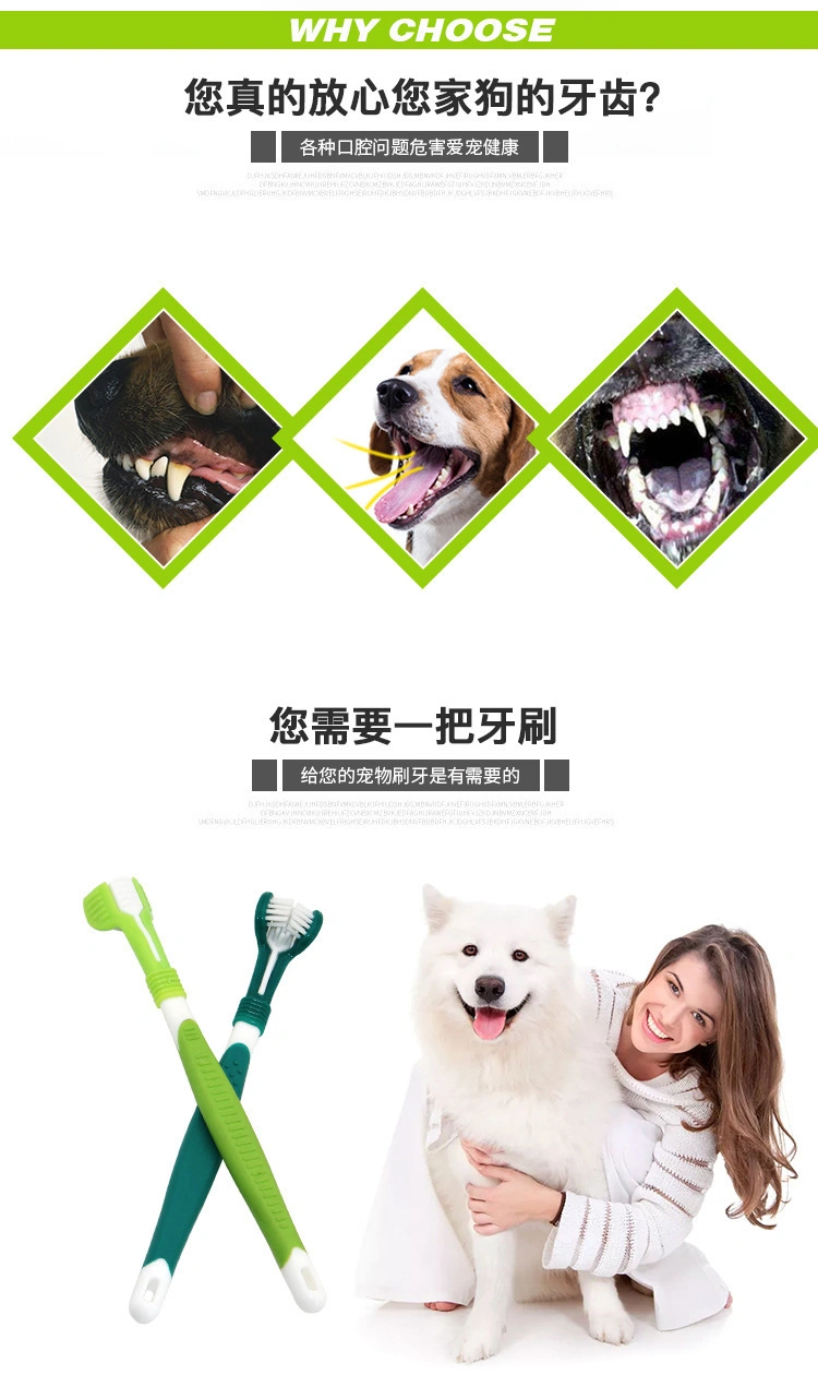 Pet Oral Cleaning and Care Products Plastic Cat Medium-Sized Dog Three-Head Toothbrush