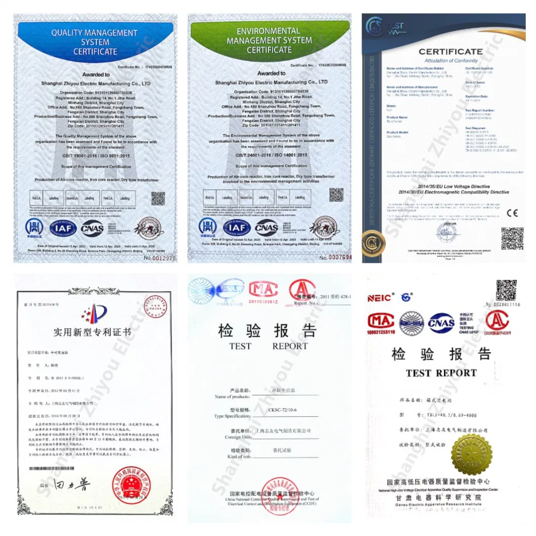 Reactor, Shanghai Zhiyou Company, Professional Manufacturer, Famous Brand