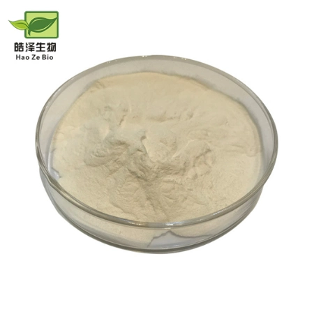 Bulk Yeast Extract Ribonucleic Acid Powder Rna