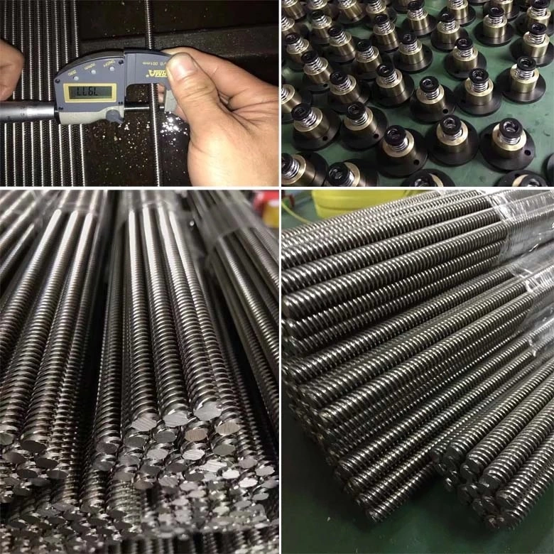 Zs Factory Price High Precision Screw Rods for Automation Machinery